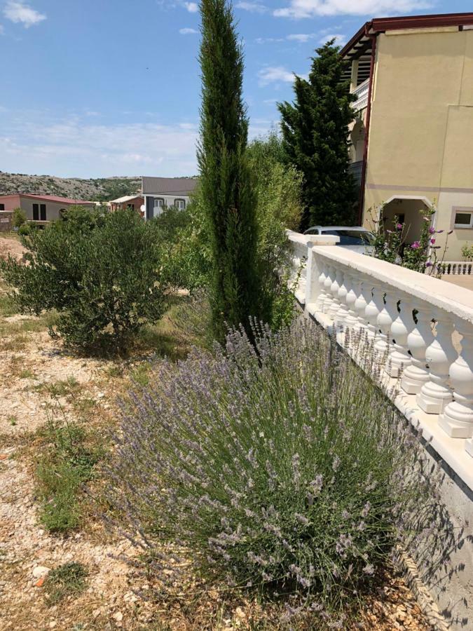 Apartmani Gabi Cesarica Exteriér fotografie